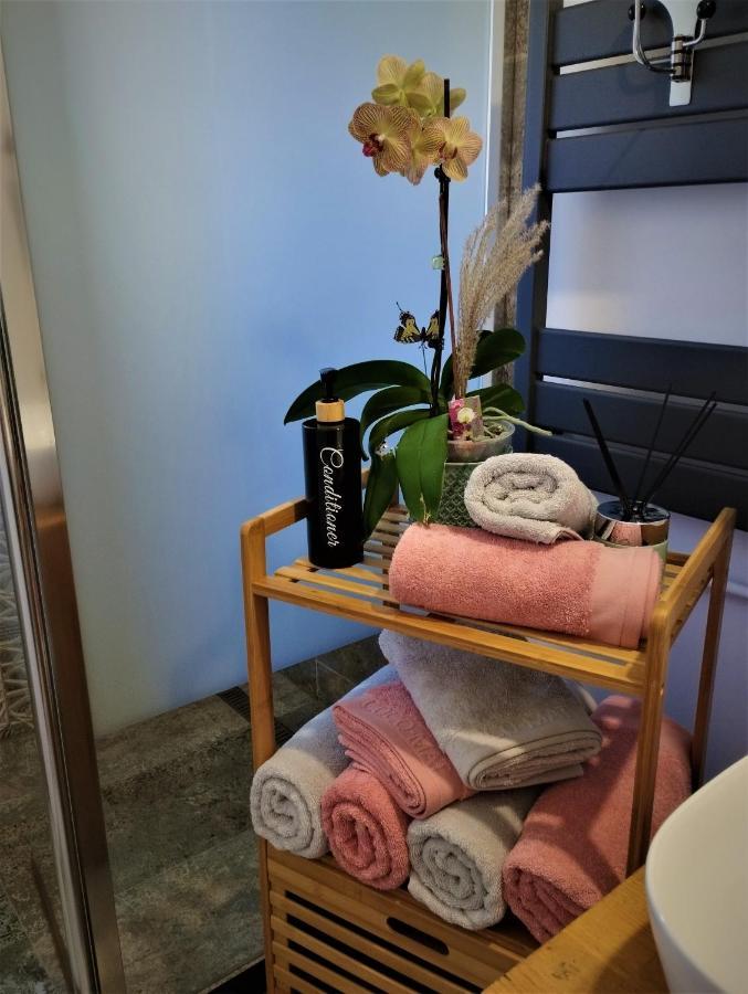 Central Lala Apartament Apartment Brasov Luaran gambar